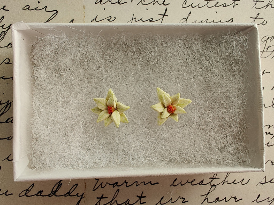 A pair of white poinsettia earrings with red centers and green veins inside a white paper jewelry box. 